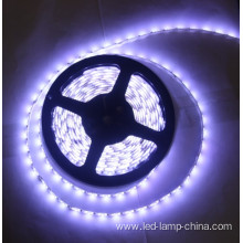 12v 16w 2400k Warm White 3m Tape SMD5630 LED Strip Light